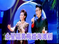 馬蘭海灘別黃梅戲(馬蘭黃梅戲唱段海灘)