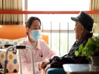 黃梅戲老來苦(黃梅戲老來苦歌詞)