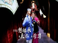 偶像來了黃梅戲完整版(偶像來了黃梅戲完整版是哪一期)