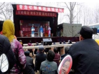 豫劇王二震演唱專輯視頻(豫劇王二震演唱專輯視頻大全)