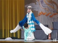 平頂山曲劇團方素珍(河南省平頂山曲劇團團長)