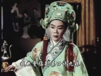 越劇電影龍女(越劇龍鳳花燭全劇金靜)