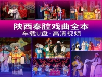 陜西省秦腔全本戲(陜西省秦腔全本戲?qū)O安動(dòng)本)
