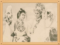 蘇六娘全劇潮劇(潮劇蘇六娘經(jīng)典唱段)