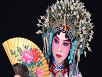京劇的旦角是什么角色(京劇中的旦角是什么樣子的)