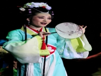 黃梅戲是戲曲嗎(黃梅戲是戲曲嗎為什么)