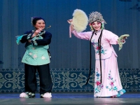 戲曲電影花為媒(戲曲電影花為媒是在哪拍攝的)