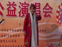 河南豫劇探陰山(河南豫劇探陰山扶大宋錦華夷)