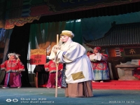 河南省豫劇二團演員名單(河南省豫劇二團演員名單表)