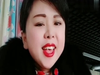 胡銀花全集墜子(胡銀花墜子小段子)
