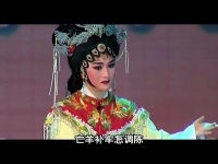 潮劇十仙慶壽廣東一團(tuán)(潮劇十仙慶壽廣東一團(tuán)下載)