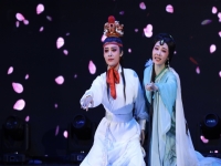 越劇演員陳麗君簡介(越劇演員陳麗君簡介圖片)