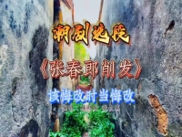 潮劇張春郎削發最老版(潮劇張春郎削發全劇老版)