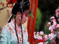 越劇演員周愛萍(越劇演員周愛萍簡(jiǎn)介)