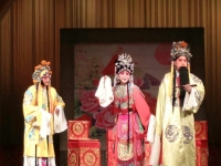 秦腔哪里的地方戲(秦腔哪個省的地方戲)