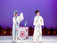 牡丹亭是元曲還是昆曲(牡丹亭是元雜劇還是昆曲)