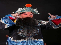 京劇名段武家坡簡介(京劇武家坡的劇情簡介)