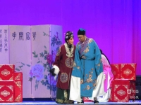 啞女告狀越劇(啞女告狀越劇湯月春)