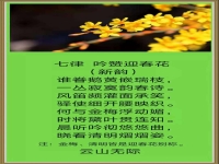 七律贊京劇詩(七律贊京劇詩句大全)