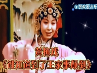 嚴(yán)風(fēng)英黃梅戲大全(嚴(yán)鳳英黃梅戲100首經(jīng)典)