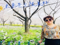 黃梅戲雙蓮記電視劇全集(黃梅戲雙蓮記電視劇全集免費播放)