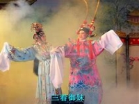 潮劇陳楚蕙嚴蘭貞視頻(潮劇陳楚蕙嚴蘭貞視頻全集)