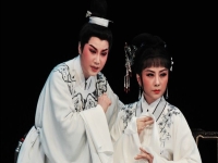 金白兔越劇簡(jiǎn)介(越劇白兔記井臺(tái)會(huì)選段)