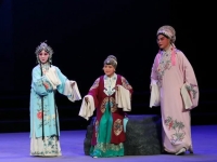 康亞嬋二進宮秦腔全本(康亞嬋二進宮秦腔演員李)