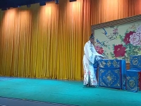 呂劇雙玉蟬普天下有情人選段(呂劇雙玉蟬普天下有情人成雙影)