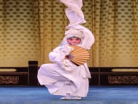 豫劇名家王素珍(豫劇名家王素珍演唱下陳州有多大)