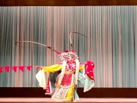 京劇四種表演形式(京劇四種表演藝術手法)