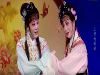 夏夢王老虎搶親越劇全集(電影越劇王老虎搶親夏夢主演主要內(nèi)容)