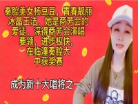 秦腔下河?xùn)|商芳會(huì)(秦腔下河?xùn)|商芳會(huì)河?xùn)|城)