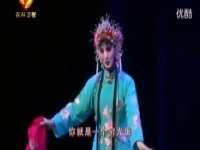 譚天杏演唱的秦腔選段(譚天杏演唱的秦腔選段有哪些)