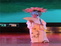 牡丹亭黃梅戲(牡丹亭黃梅戲歌詞)