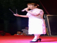 唱河南墜子的都有誰(唱河南墜子質(zhì)量是多少)