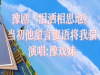 豫劇淚灑相思地送別一段(豫劇淚灑相思地全劇名段欣賞)