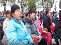 無為廬劇魏小波(無為廬劇魏小波鄭小嬌4)