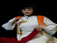 河北梆子彭蕙蘅專(zhuān)輯(河北梆子彭蕙蘅選段專(zhuān)輯)