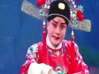 秦腔花亭相會完整唱詞(秦腔花亭相會唱詞選段張寧)