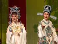 寧波地方戲曲(寧波地方戲曲名稱甬劇)