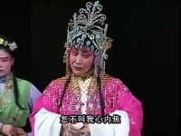 南陽金紅曲劇全場戲(南陽曲劇紅臉王全場戲)