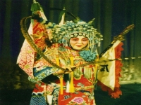 河北梆子張惠云全劇(河北梆子名家張惠云的唱段)