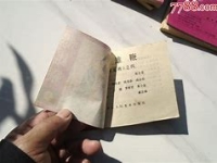 河南墜子羅家將全集(河南墜子羅家將全集范翠霞)