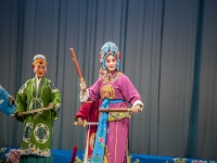 豫劇打花朝全場戲(豫劇花打朝全部臺詞)