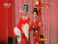 黃梅戲全場戲大全(黃梅戲全場全集大劇)