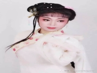 越劇桃李梅全集劇本(越劇桃李梅全集劇本呂瑞英)