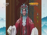 空中劇院京劇楊門女將第四場(cctv空中劇院京劇楊門女將)