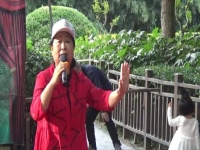 豫劇小蝸牛純伴奏(豫劇小蝸牛純伴奏mp3)