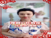 豫劇汪荃珍唱腔集錦(豫劇汪荃珍經典唱腔精選)